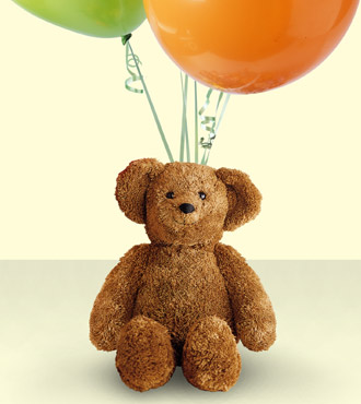 Bear & Balloon Bunch by Rich Mar Florist