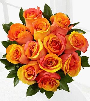 Dozen Mixed Fall Roses Wrapped by Rich Mar Florist