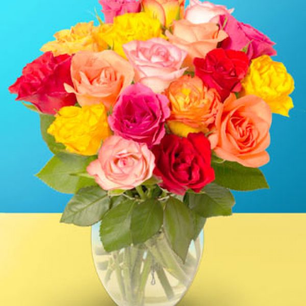 18 Mixed Colored Roses Arranged by Rich Mar Florist