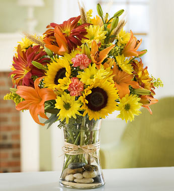 Fields of Europe for Fall by Rich Mar Florist