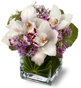Lovely Orchids by Rich Mar Florist