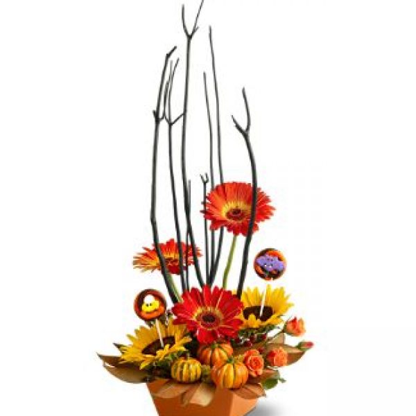 Trick or Treat Bouquet by Rich Mar Florist