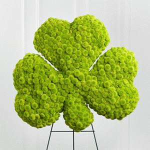 The Forever Shamrock Easel by Rich Mar Florist