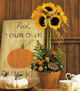 Sunflower Topiary by Rich Mar Florist